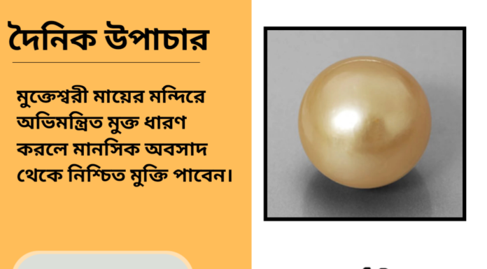 দৈনিক উপাচার : ১৩ ডিসেম্বর ২০২৪ – জয় মা মুক্তেস্বরী