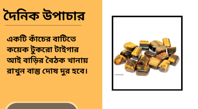 দৈনিক উপাচার : ১৪ ডিসেম্বর ২০২৪ – জয় মা মুক্তেস্বরী