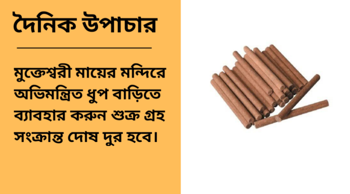 দৈনিক উপাচার : ২৪ ডিসেম্বর ২০২৪ – জয় মা মুক্তেস্বরী