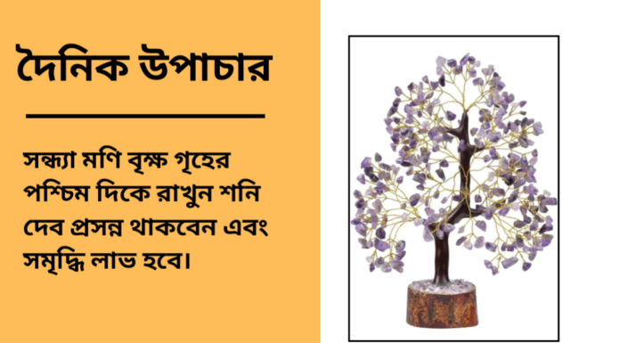 দৈনিক উপাচার : ৫ জানুয়ারি ২০২৫ – জয় মা মুক্তেস্বরী