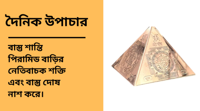 দৈনিক উপাচার : ৭ জানুয়ারি ২০২৫ – জয় মা মুক্তেস্বরী