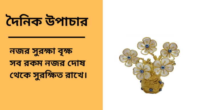 দৈনিক উপাচার : ১৯ জানুয়ারি ২০২৫ – জয় মা মুক্তেস্বরী