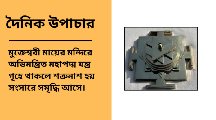 দৈনিক উপাচার : ২৩ জানুয়ারি ২০২৫ – জয় মা মুক্তেস্বরী