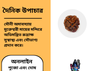 দৈনিক উপাচার : ২৮ জানুয়ারি ২০২৫ – জয় মা মুক্তেস্বরী