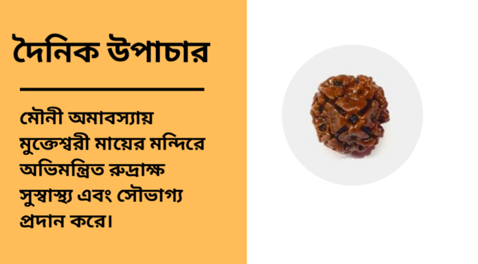 দৈনিক উপাচার : ২৮ জানুয়ারি ২০২৫ – জয় মা মুক্তেস্বরী