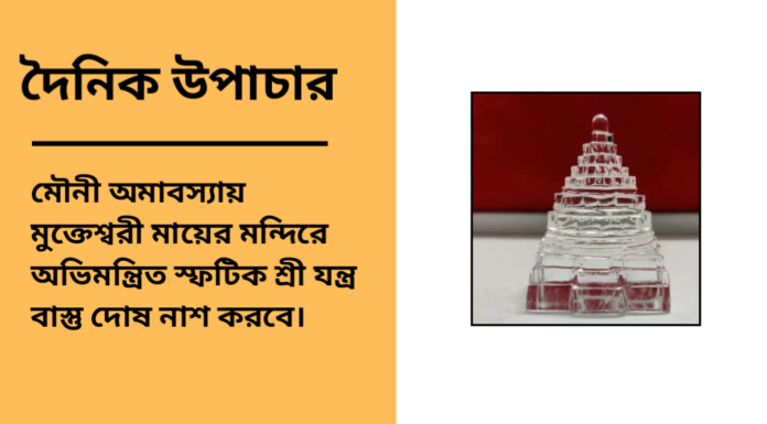 দৈনিক উপাচার : ২৯ জানুয়ারি ২০২৫ – জয় মা মুক্তেস্বরী