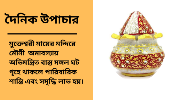 দৈনিক উপাচার : ১ ফেব্রুয়ারী ২০২৫ – জয় মা মুক্তেস্বরী