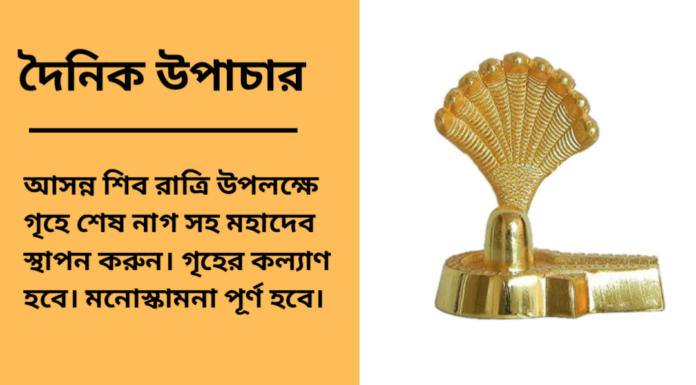 দৈনিক উপাচার : ৪ ফেব্রুয়ারী ২০২৫ – জয় মা মুক্তেস্বরী