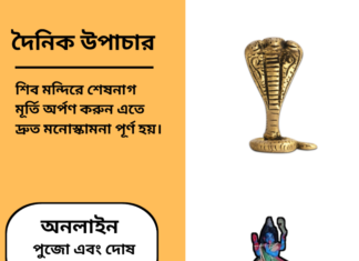 দৈনিক উপাচার : ৯ ফেব্রুয়ারী ২০২৫ – জয় মা মুক্তেস্বরী