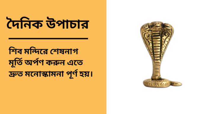 দৈনিক উপাচার : ৯ ফেব্রুয়ারী ২০২৫ – জয় মা মুক্তেস্বরী