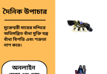 দৈনিক উপাচার : ১১ ফেব্রুয়ারী ২০২৫ – জয় মা মুক্তেস্বরী
