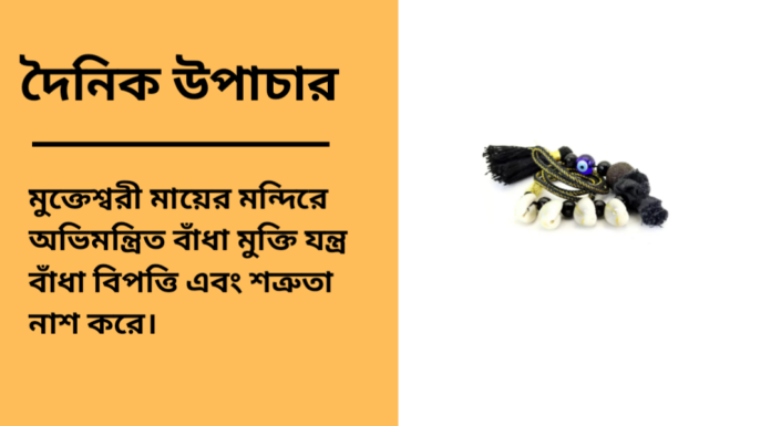 দৈনিক উপাচার : ১১ ফেব্রুয়ারী ২০২৫ – জয় মা মুক্তেস্বরী
