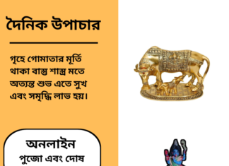 দৈনিক উপাচার : ১২ ফেব্রুয়ারী ২০২৫ – জয় মা মুক্তেস্বরী