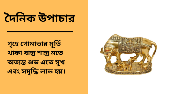 দৈনিক উপাচার : ১২ ফেব্রুয়ারী ২০২৫ – জয় মা মুক্তেস্বরী