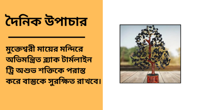 দৈনিক উপাচার : ২১ ফেব্রুয়ারী ২০২৫ – জয় মা মুক্তেস্বরী