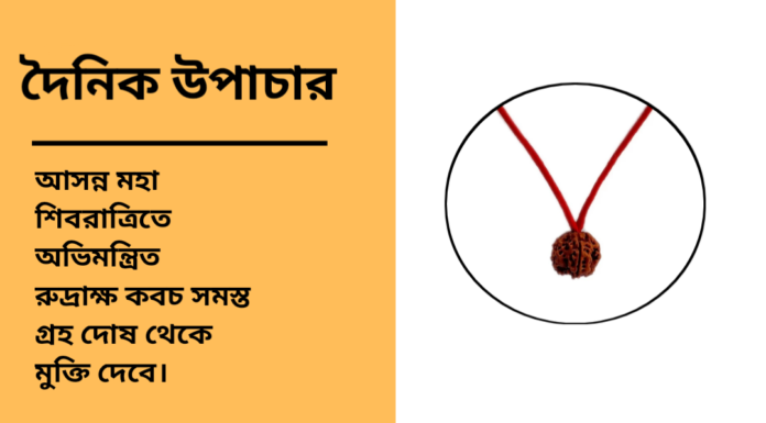দৈনিক উপাচার : ২৩ ফেব্রুয়ারী ২০২৫ – জয় মা মুক্তেস্বরী