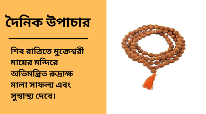 দৈনিক উপাচার : ২৫ ফেব্রুয়ারী ২০২৫ – জয় মা মুক্তেস্বরী