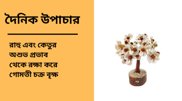 দৈনিক উপাচার : ২৩ মার্চ ২০২৫ – জয় মা মুক্তেস্বরী
