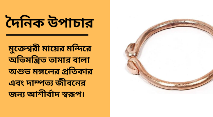 দৈনিক উপাচার : ২৪ মার্চ ২০২৫ – জয় মা মুক্তেস্বরী