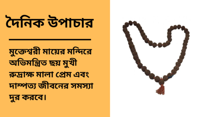 দৈনিক উপাচার : ৯ এপ্রিল ২০২৫ – জয় মা মুক্তেস্বরী