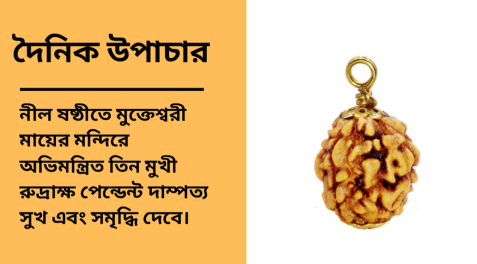 দৈনিক উপাচার : ১৩ এপ্রিল ২০২৫ – জয় মা মুক্তেস্বরী