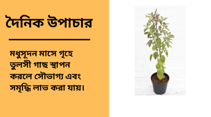 দৈনিক উপাচার : ১৯ এপ্রিল ২০২৫ – জয় মা মুক্তেস্বরী