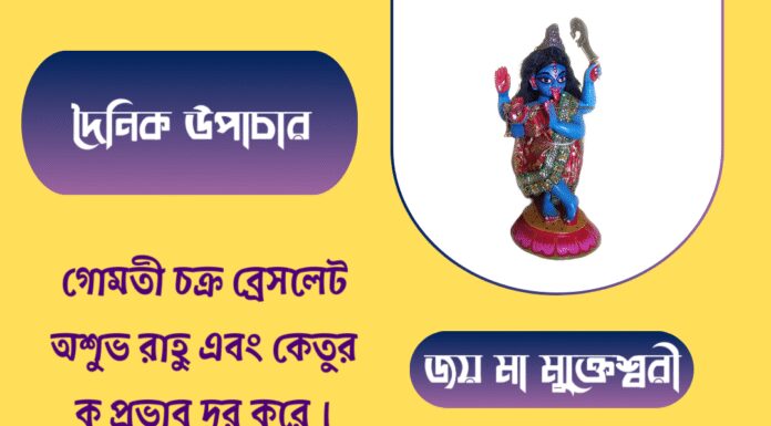 দৈনিক উপাচার : ২৯ জুন ২০২৫ – জয় মা মুক্তেশ্বরী