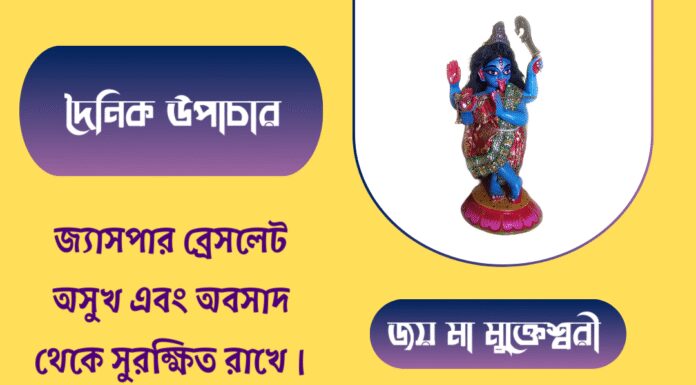 দৈনিক উপাচার : ৩০ আগস্ট ২০২৫ – জয় মা মুক্তেশ্বরী