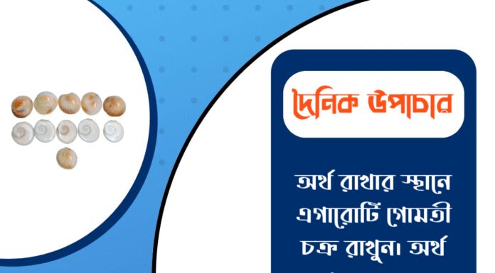 দৈনিক উপাচার : ১১ নভেম্বর ২০২৫ – জয় মা মুক্তেশ্বরী