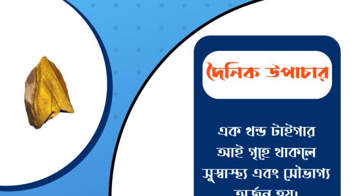 দৈনিক উপাচার : ১৩ নভেম্বর ২০২৫ – জয় মা মুক্তেশ্বরী