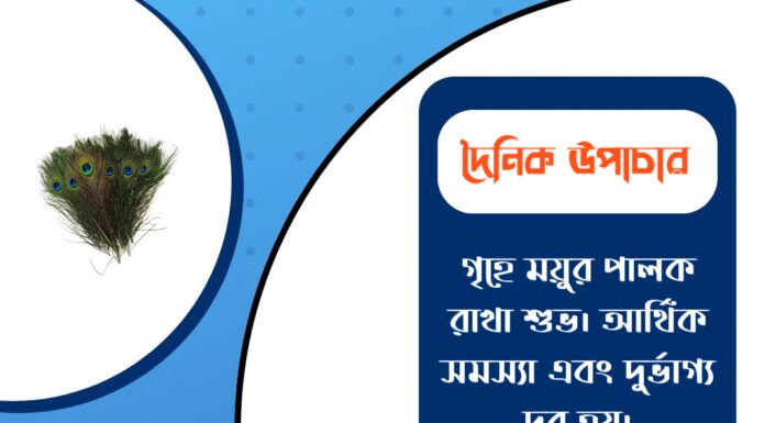 দৈনিক উপাচার : ৩০ নভেম্বর ২০২৫ – জয় মা মুক্তেশ্বরী