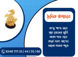 দৈনিক উপাচার : ১০ ডিসেম্বর ২০২৫ – জয় মা মুক্তেশ্বরী