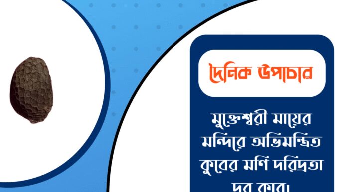 দৈনিক উপাচার : ১৫ ডিসেম্বর ২০২৫ – জয় মা মুক্তেশ্বরী