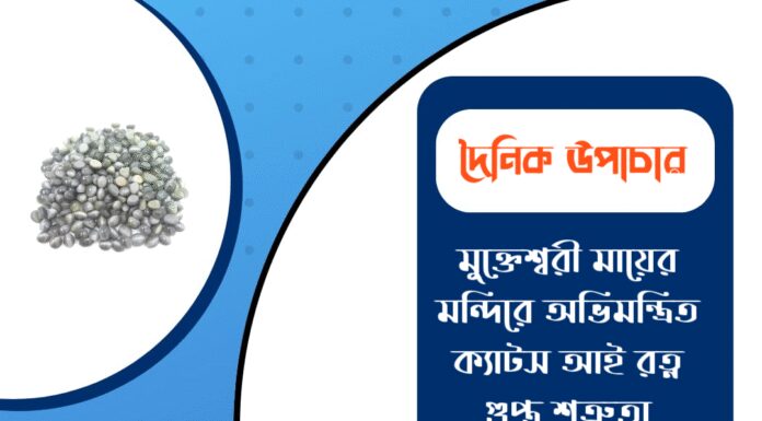 দৈনিক উপাচার : ২ জানুয়ারি ২০২৬ – জয় মা মুক্তেশ্বরী