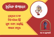 দৈনিক উপাচার : ২৪ মার্চ ২০২৬ – জয় মা মুক্তেশ্বরী