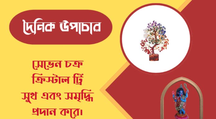 দৈনিক উপাচার : ২৪ মার্চ ২০২৬ – জয় মা মুক্তেশ্বরী
