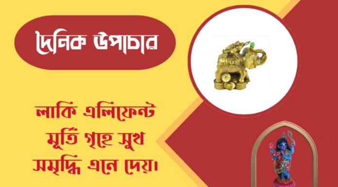 দৈনিক উপাচার : ১০ এপ্রিল ২০২৬ – জয় মা মুক্তেশ্বরী