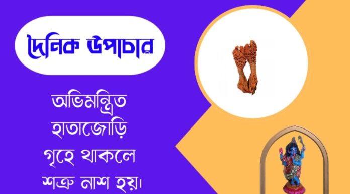 দৈনিক উপাচার : ১৫ মে ২০২৬ – জয় মা মুক্তেশ্বরী