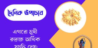 দৈনিক উপাচার : ২৯ জুন ২০২৬ – জয় মা মুক্তেশ্বরী