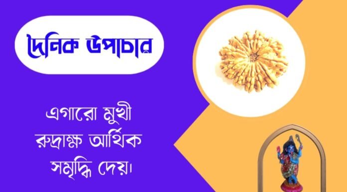দৈনিক উপাচার : ২৯ জুন ২০২৬ – জয় মা মুক্তেশ্বরী