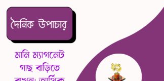 দৈনিক উপাচার : ১৬ জুন ২০২৬ – জয় মা মুক্তেশ্বরী