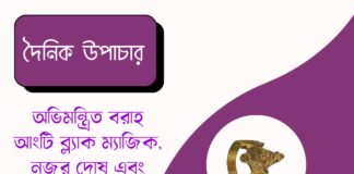 দৈনিক উপাচার : ১৮ জুন ২০২৬ – জয় মা মুক্তেশ্বরী