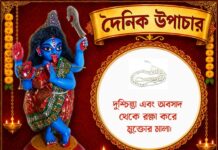দৈনিক উপাচার : ১৯ জুলাই ২০২৬ – জয় মা মুক্তেশ্বরী