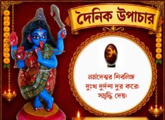দৈনিক উপাচার : ২৩ আগস্ট ২০২৬ – জয় মা মুক্তেশ্বরী