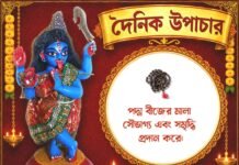 দৈনিক উপাচার : ৩ আগস্ট ২০২৬ – জয় মা মুক্তেশ্বরী