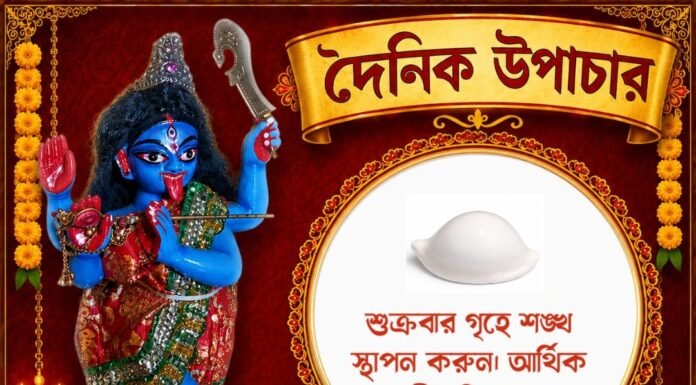 দৈনিক উপাচার : ১৩ আগস্ট ২০২৬ – জয় মা মুক্তেশ্বরী